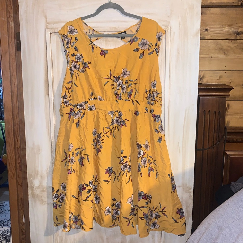 NWOT Torrid size 2 cute dress